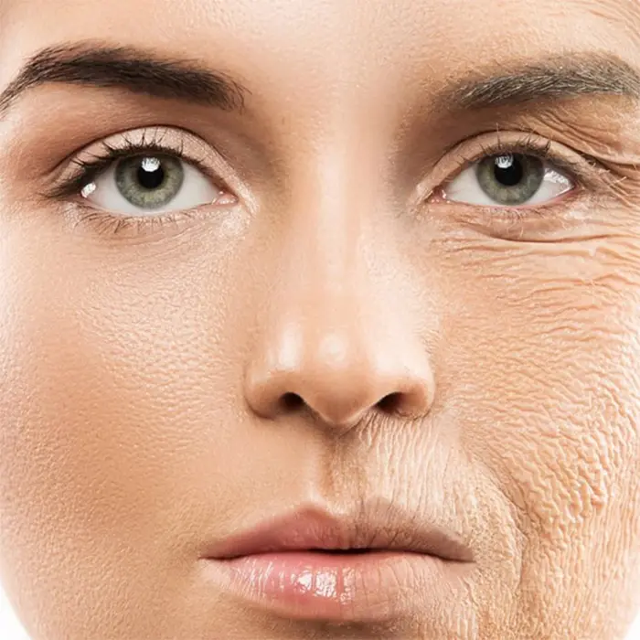 کرم مغذی ضد چروک 24 ساعته bioresource دکتر بلتر 50 میل