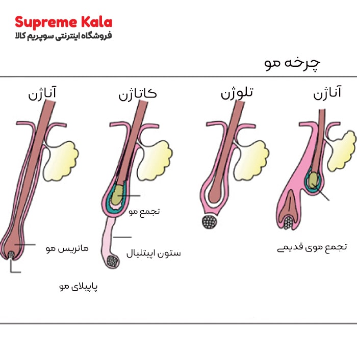 کوکتل HR3 ژنوسیس ضدریزش و رویش مجدد مو ماتریکس